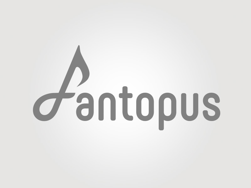 Branding Design Graphic Design